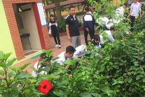 Chùm ảnh học sinh lớp 10A6 do thầy Dương Văn Dũng chủ nhiệm tình nguyện chăm sóc và dọn vệ sinh môi trường